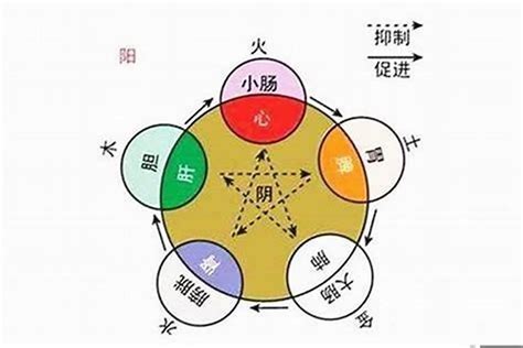 木火 字|八字属性木和火的字 五行木火属性寓意好的字